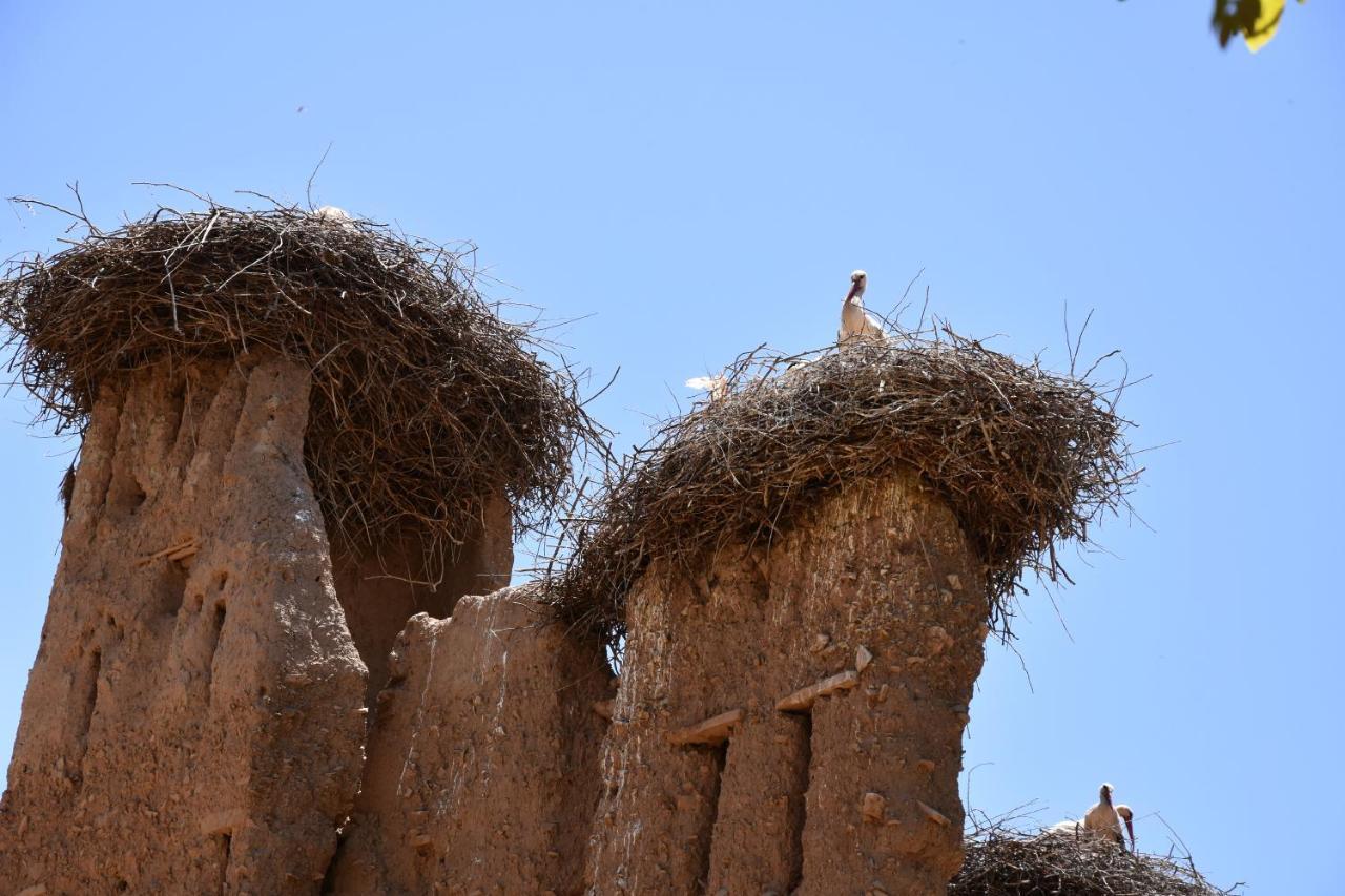Maison D'Hotes Dar Afra Ait Ziri エクステリア 写真